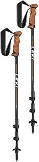 pair of backpacking sticks